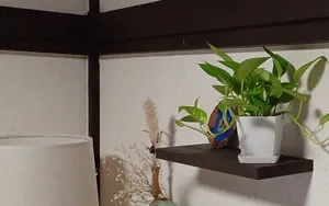 アメリカ　戸籍謄本 翻訳 おすすめ