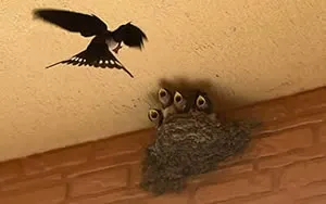 リーガルトランスレーション栄古堂